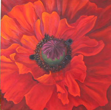 Poppy Painting